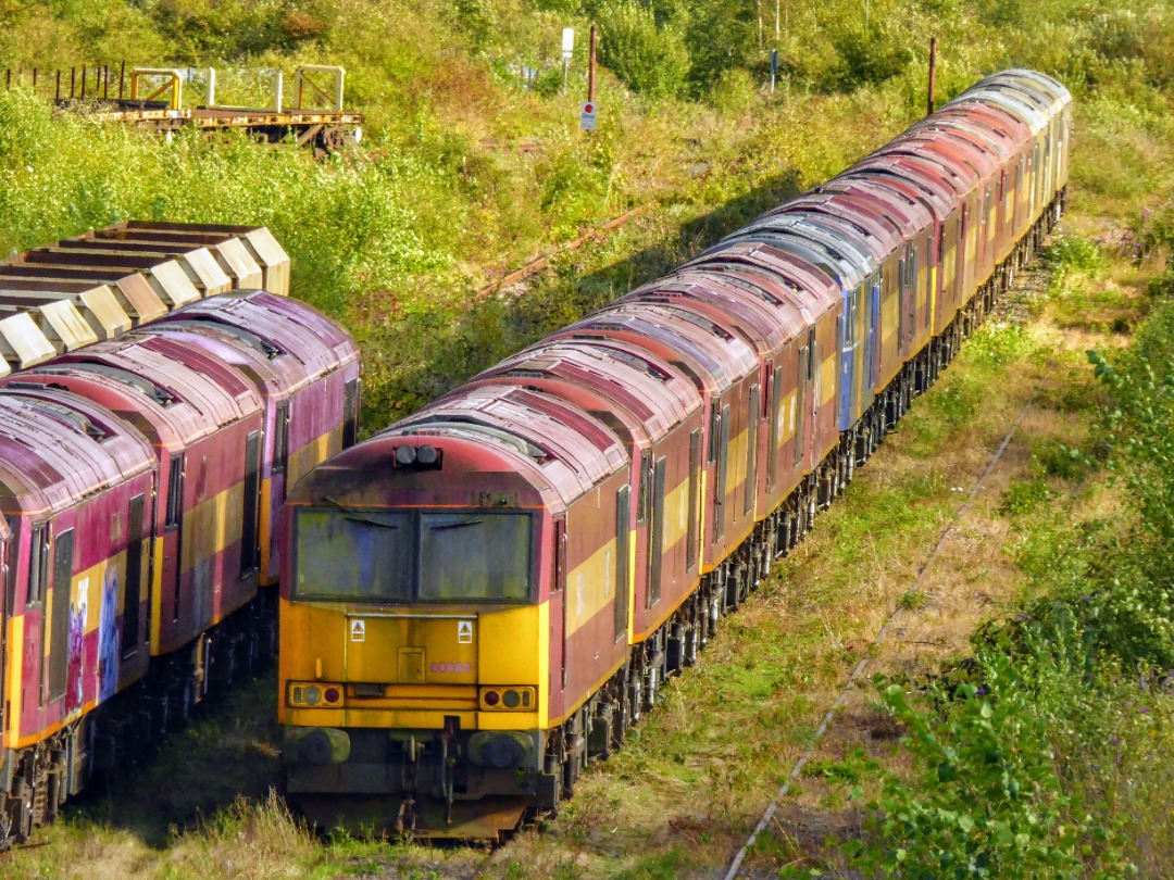 The Jamster on Train Siding: DB Cargo UK 60089 heads a line up of stored Tugs at Toton. I counted 19 in this photo. 31/08/19