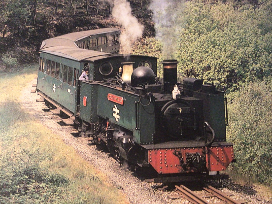 Alex Coomber on Train Siding: A 2-6-2 tank No. 9 Prince of Wales rounds a curve on the approach to Devils Bridge. The wooded nature of the scenic part of the
line...