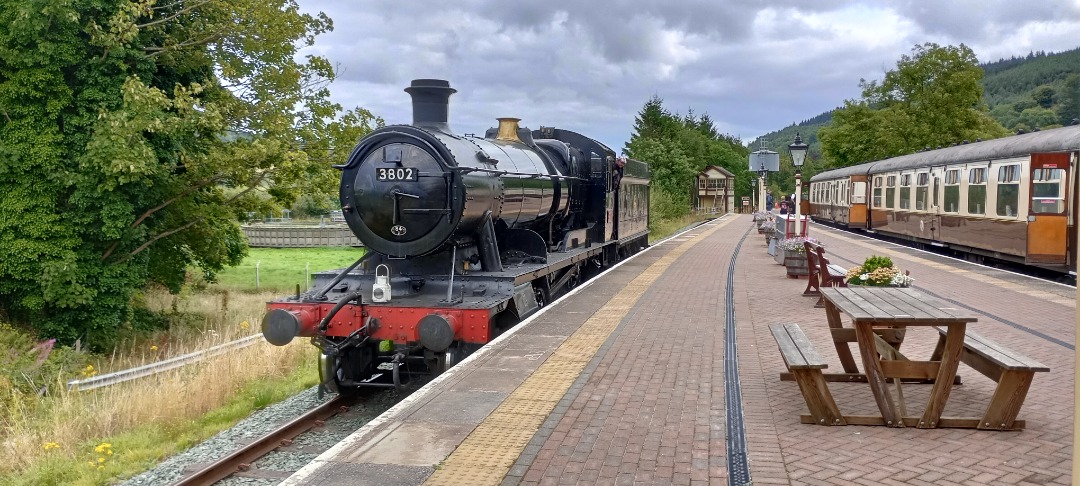 Hardley Distant on Train Siding: HERITAGE: A few Photos from my Ticket Inspector duty at the Llangollen Railway today which featured Steam Locomotive 3802 and
31271...