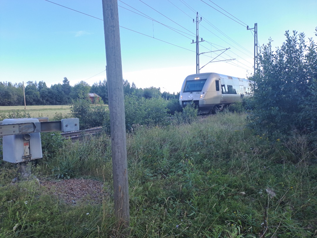 Grasshopper Without Grass on Train Siding: SJ X55 as seen from the level crossing in Järbo, yet again the photo is taken on my new phone, a Samsung Galaxy
A33 5G!...