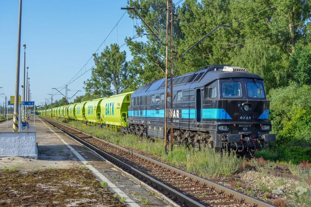 Adam L. on Train Siding: A former DB Cargo 233 Class Diesel, currently leased and operated by Ecco Rail, sits on the number 3 track of the
Sitkówka-Nowiny station...