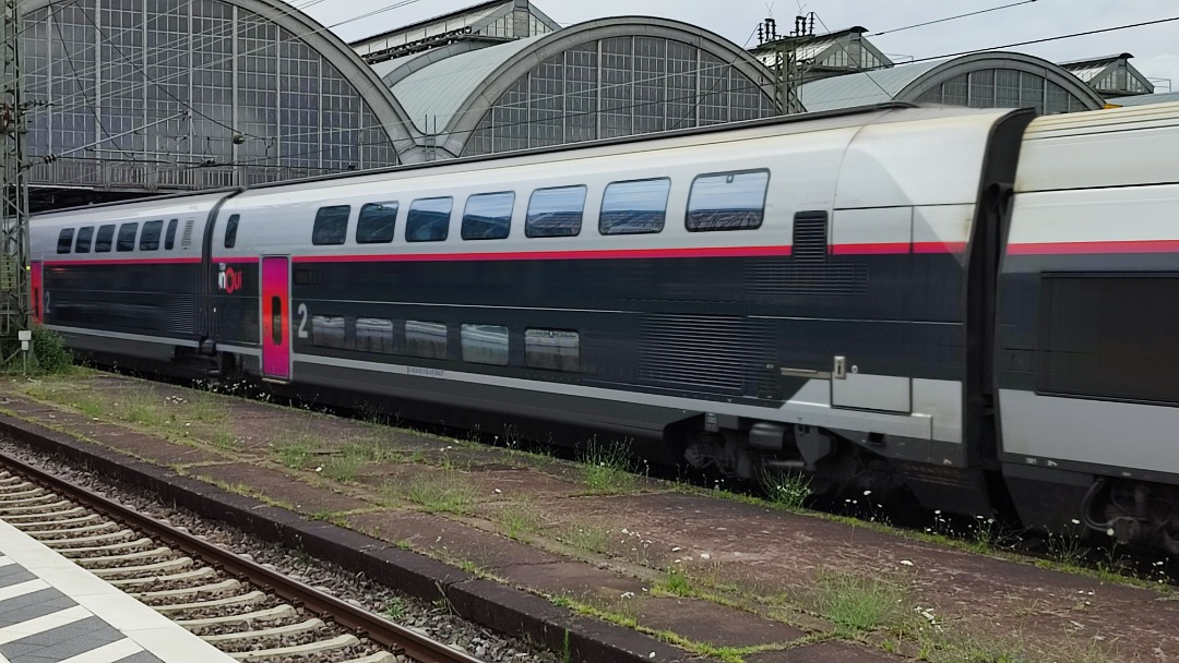 Christian Deysson on Train Siding: Speedy guest from France: TGV 9577 from Paris (Est) to Stuttgart. Could use a little wash up though...