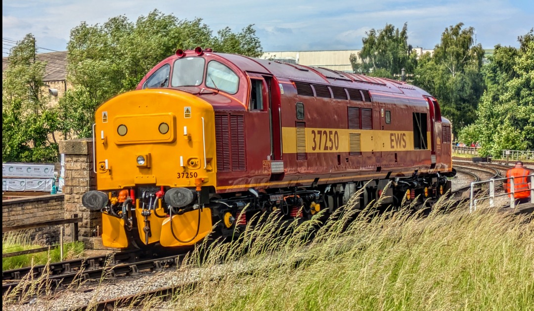 kieran harrod on Train Siding: My favorite photo of mine from last week's deisel gala at Keighley. 37250 freshly painted into EWA livery from Dutch
engineers at the...