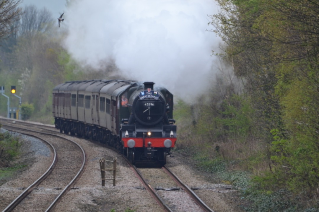 John Stemp on Train Siding: 45596 'BAHAMAS' At Bagillt Footbridge. 1Z17 1545 Chester to Holyhead Coaches 14060, 99723, 99371, 99128, 99348, 99350,
99351, 1961, 99352,...