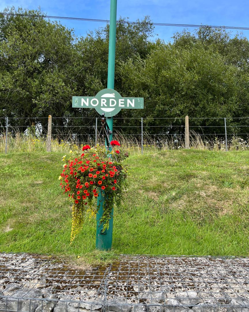 RodRail on Train Siding: #SwanageRailway #BattleOfBritain class #33 #Norden #HarmansCross #heritage #steam #roundel #target #totem