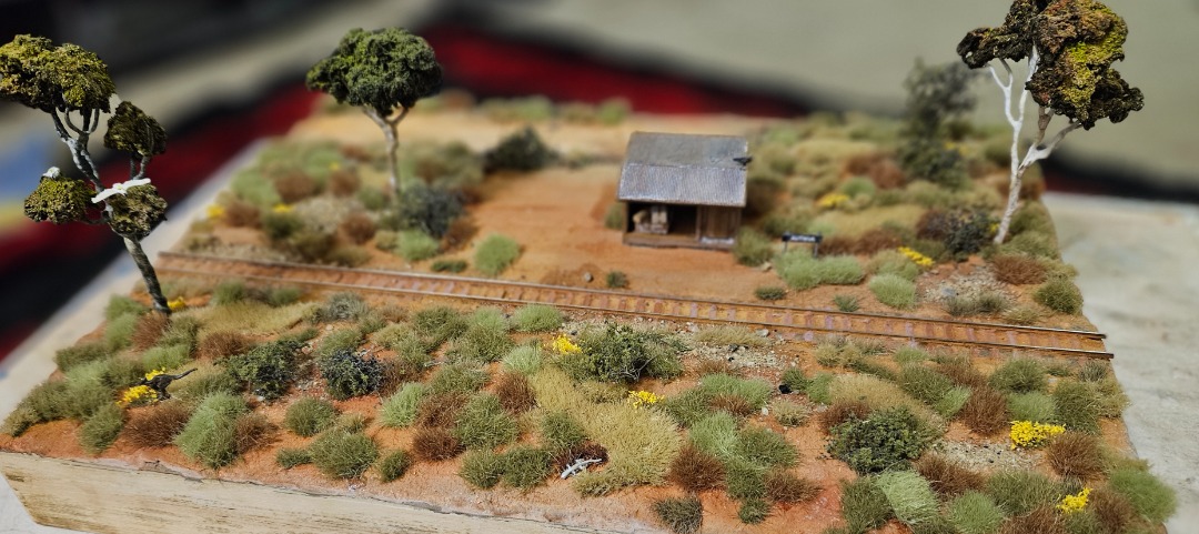 Geoff on Train Siding: First module of my proposed.layout. Autieul station on the Aramac Tramway. Called a tramway as it was run by the shire council, not
the...